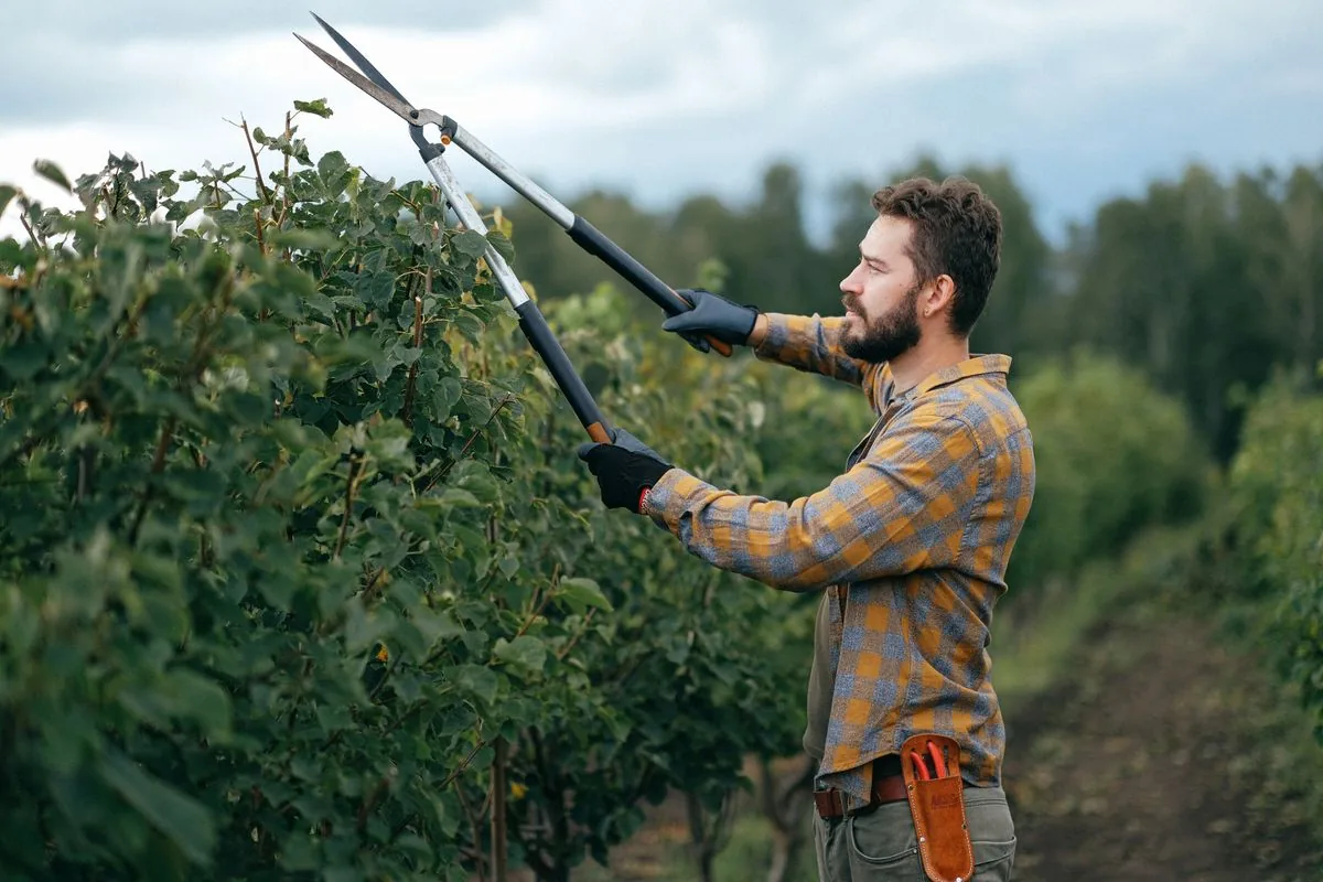 Jardinero recortando las hojas de una planta. Imagen de referencia para una marca ficticia.
