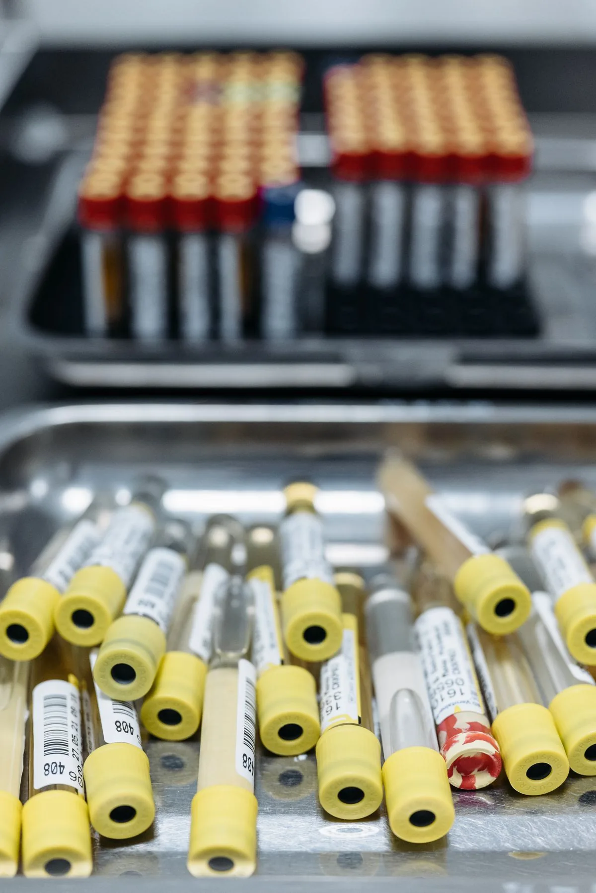 Tubos para muestras en un laboratorio. Imagen de referencia para una marca ficticia.