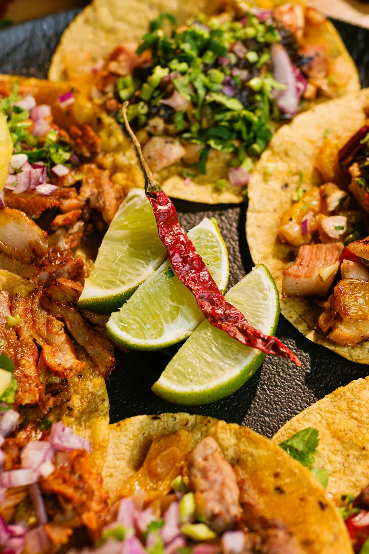 Tacos preparados para servir. Imagen de referencia para una marca ficticia.