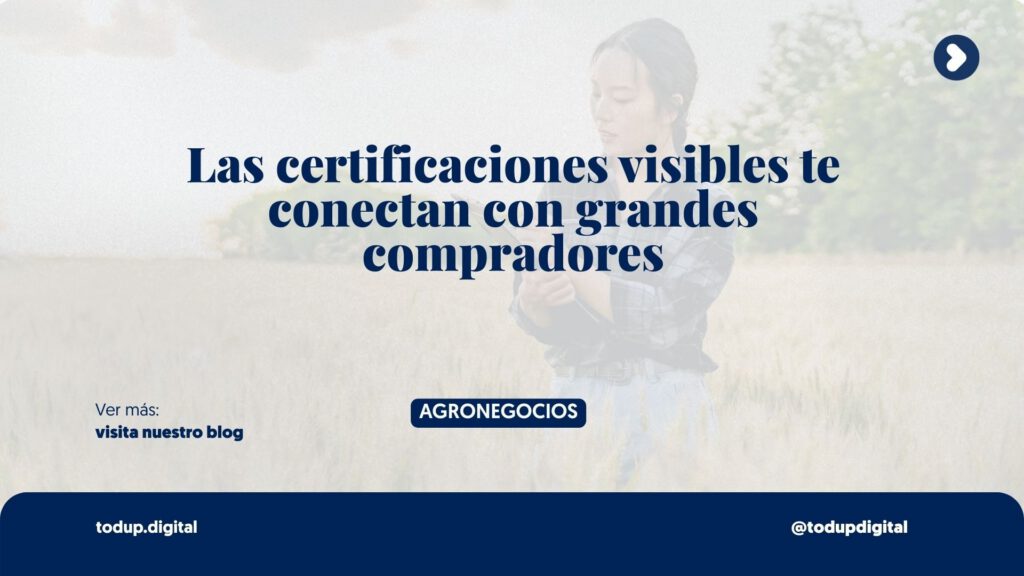 Sustentabilidad y Certificaciones: El Requisito Oculto de los Grandes (Retail)