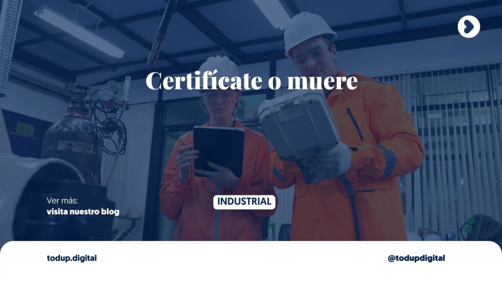 Taller Local vs. Proveedor Certificado: La Diferencia de una Web Corporativa