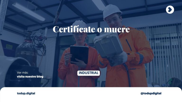 Taller Local vs. Proveedor Certificado: La Diferencia de una Web Corporativa