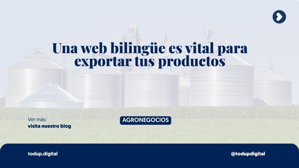 Web Bilingüe: El Requisito Obligatorio para Venderle a Empresas Extranjeras