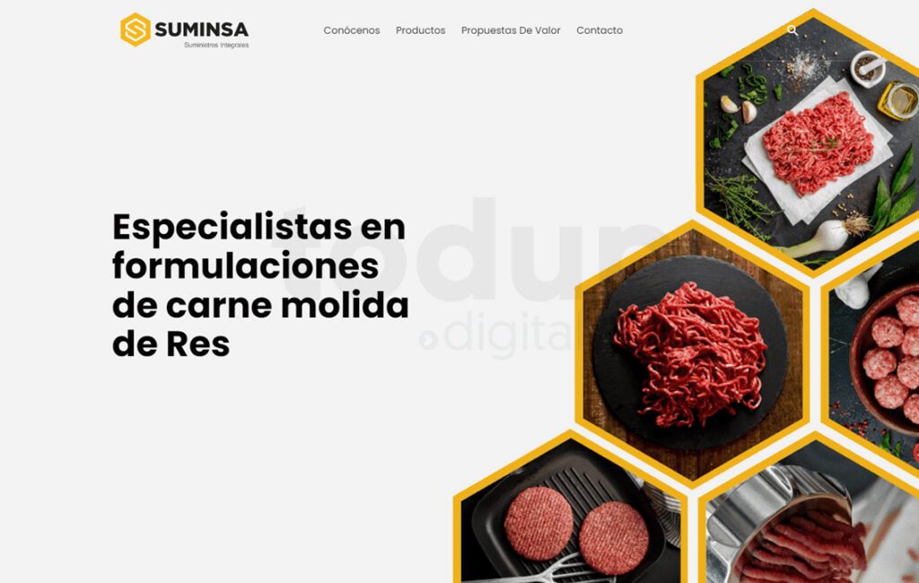 SUMINSA