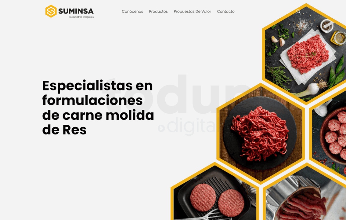 SUMINSA